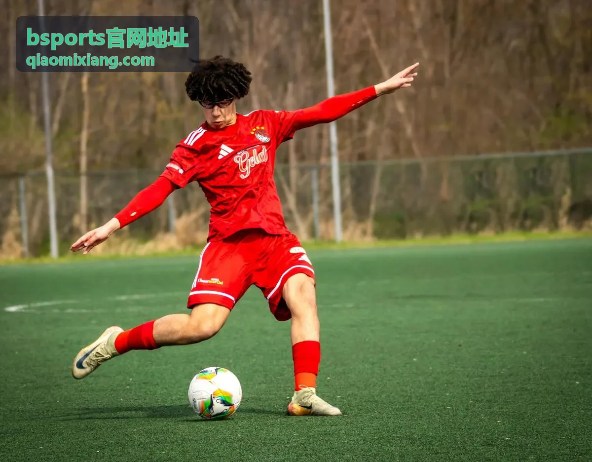 bsports官网地址跟买清单对照顺序示意封面