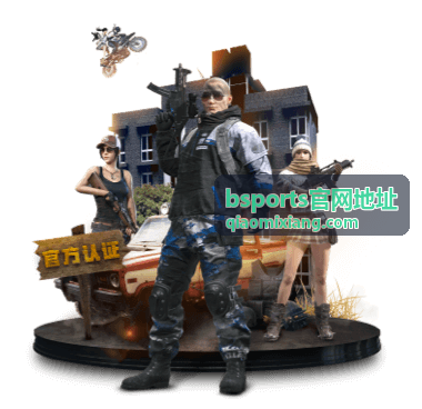 bsports官网地址入口访问指引：新手三步走封面